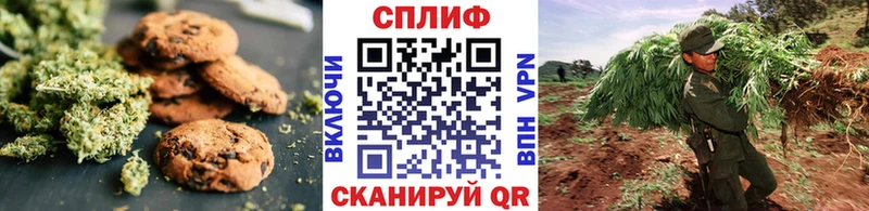 Печенье с ТГК марихуана  как найти   ссылка на мегу как войти  Сим 
